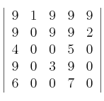 \left|
   \begin{array}{ccccc}
      9  & 1 & 9  & 9 & 9 \\
      9  & 0 & 9  & 9 & 2 \\
      4  & 0 & 0  & 5 & 0 \\
      9  & 0 & 3  & 9 & 0 \\
      6  & 0 & 0  & 7 & 0
   \end{array}
\right|